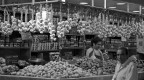 l'ammazzavampiri l'ammazzavampiri