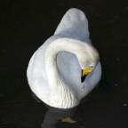 E tu chi sei? E tu chi sei?