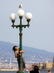 Avvinta come l'edera Avvinta come l'edera