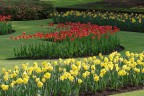 A primavera in questo bellissimo parco.