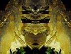 Pareidolie@2011
