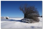 Racchette da neve e zaino fotografico, che pace!