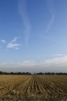 Come in cielo, così in terra Come in cielo, così in terra
