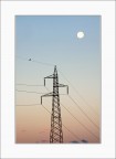 Moon Watching Moon Watching