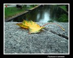 l'autunno è arrivato.... l'autunno è arrivato....