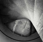 Occhio di gatto Occhio di gatto