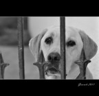 Dietro le sbarre (solo per pochi minuti) Dietro le sbarre (solo per pochi minuti)