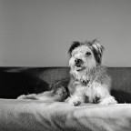 infotografabile Pina infotografabile Pina