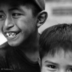 vite incrociate vite incrociate