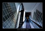 Escalator Escalator