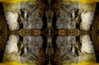 Con giallo@2011