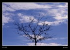 Autunno Autunno