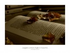 Leggere come le Foglie in Autunno Leggere come le Foglie in Autunno