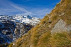 Parco Nazionale Gran Paradiso Parco Nazionale Gran Paradiso