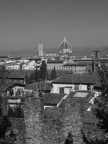 firenze firenze