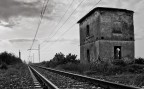 va dove ti porta il cuore va dove ti porta il cuore