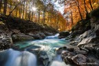 Semplicemente l'autunno... Semplicemente l'autunno...