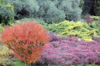 colori di autunno colori di autunno