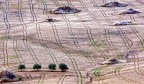 Panorama Panorama