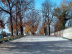 Salita