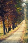 Strade d'autunno Strade d'autunno