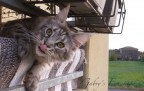 :P :P
