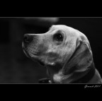 In pronta attenzione In pronta attenzione