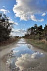 Un p di cielo in terra