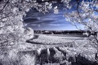 Siamo al confine tra l'aretino ed il senese, nella magia dei colli toscani, il paese  l al centro, un piccolo borgo da vedere sicuramente, se nei paraggi.
Solita Nikon D70_IR, con Nikkor 17-70