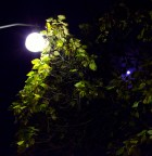 notturno
