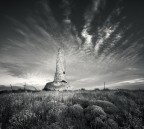 Waiting the snake Waiting the snake