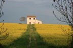 casale casale