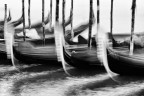 b/w in moto ondoso veneziano b/w in moto ondoso veneziano