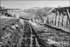 Novembre in collina