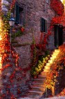 autunno autunno