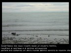 Progetto Guccini


Inutile, Guccini, 1983