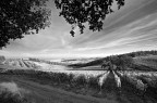 ... ...