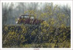 mi  piaciuta molto quella vecchia renault 4 rossa in mezzo alla campagna invernale, ero controluce, ho scattato convinto che uscisse qualcosa di simpaticamente diverso, a me piace, a voi?

(era lontana, avevo montato 300+Tc-17)