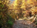 quando ho scattato questa foto ero in giro in moto al confine Ligure, la foto mi sembra carina ma la mia  solo fortuna....scatto e basta...