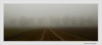 Endless Endless