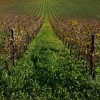 Senza Titolo Senza Titolo