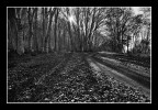 bianco e nero bianco e nero