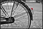 ruota bicicletta ruota bicicletta