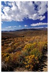 Mono County Mono County