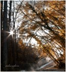 Bagni San Filippo Bagni San Filippo