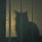 Sentinella Sentinella