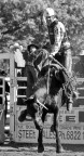 Rodeo Rodeo