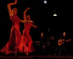 flamenco flamenco