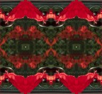 Il fazzoletto rosso