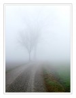 Nebbia